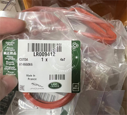 Прокладка клапанной крышки LAND ROVER - LR009412 2264